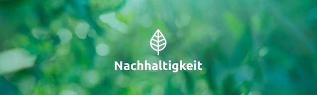 Nachhaltigkeit steht in weißer Schrift auf einem grünen Blätterhintergund