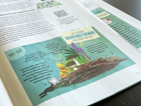 Anzeige der Abfallwirtschaft zum Thema "So schadet wilder Müll dem Wald"