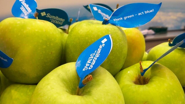 Äpfel mit gebastelten blauen Blättern auf denen steht: think green - act blue