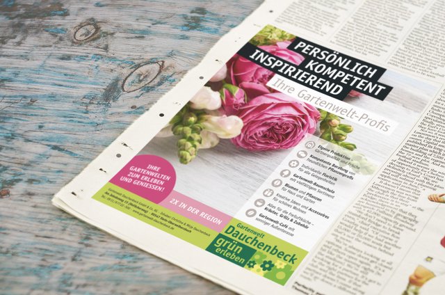 Bunte Anzeige mit einer Pfingstrose in einer Zeitung der Gartenwelt Dauchenbeck