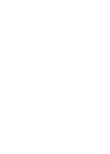Ein Fahnenicon symbolisiert die Gründung von da kapo im Jahr 1986