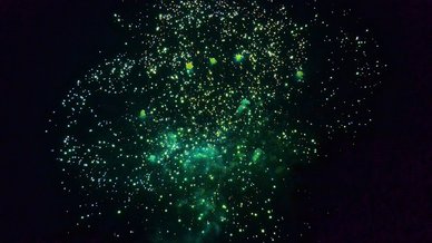Grünes Silvesterfeuerwerk auf einem dunklem Nachthimmel.