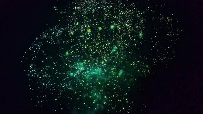 Grünes Silvesterfeuerwerk auf einem dunklem Nachthimmel.
